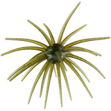 Hags Baits Prickly Pear Guadalupe Haze