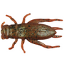 Berkley Gulp Alive Cricket Breen