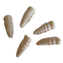 Berkley Gulp Alive Waxies White
