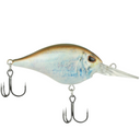  HD Blueback Herring