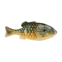  HD Pumpkinseed