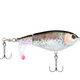  HD Rainbow Trout