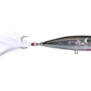  Holographic Shad
