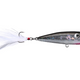  Holographic Shad