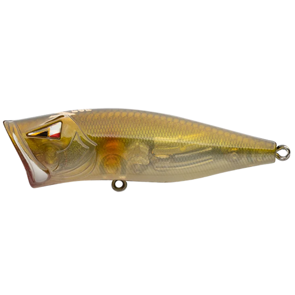 ARK Elite Z-Pop Topwater Popper