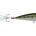  John Murray Bass