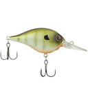  Killer Gill