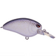  Lavender Shad