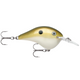  Lemon Shad