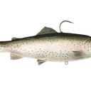  Light Trout