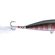  Lightning Shad