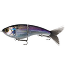  Live Gizzard Flash