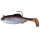  Live Gizzard Shad