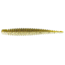 Live Goby