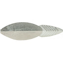  Live Minnow
