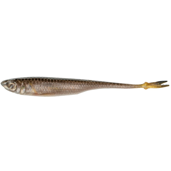 6th Sense Crappie Strobe Minnow
