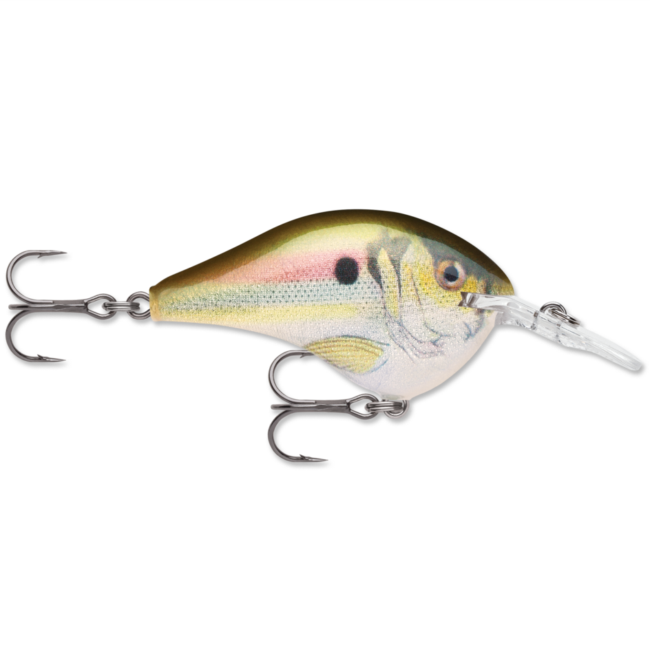 Rapala DT 6