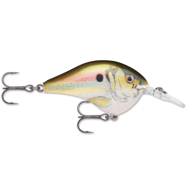 Rapala DT 6