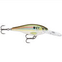  Live River Shad