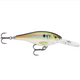  Live River Shad