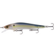  Live Shad