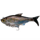  Live Shad