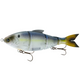 Live Shad