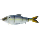  Live Shad