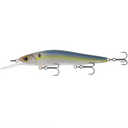  Live Shad