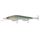  Live Shad