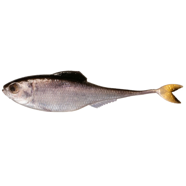 6th Sense Fiction Shad