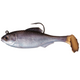  Live Shad