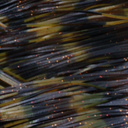  Living Image Black Brown Amber - 282