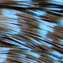  Living Image Molting Craw - 173