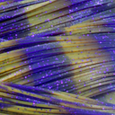  Living Image Whiskey Purple - 127