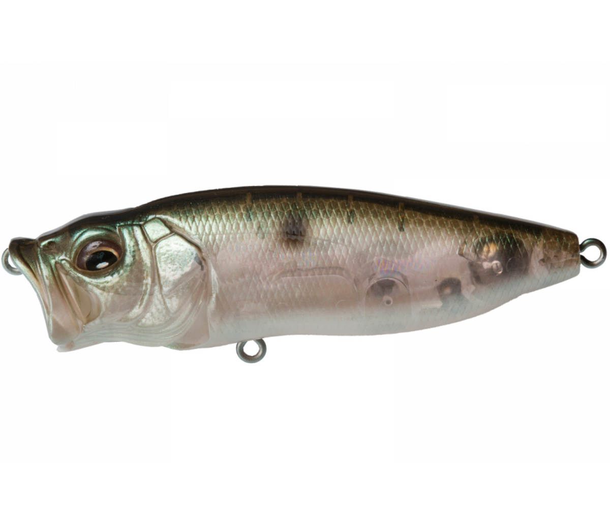 A Megabass Popmax topwater fishing lure with a silver and white color scheme, featuring detailed gill-system and realistic eyes.