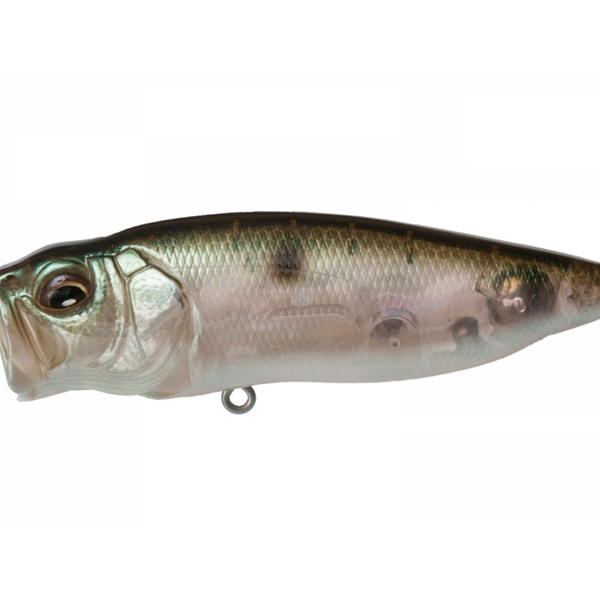 A Megabass Popmax topwater fishing lure with a silver and white color scheme, featuring detailed gill-system and realistic eyes.