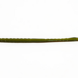 Missile Baits Magic Worm Magic Pumpkin Red