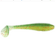  Male Perch