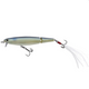  Matte Blueback Shad
