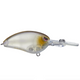  Matte Shad