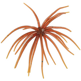 Hags Baits Prickly Pear 9.9mm Mesquite Magic