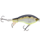  Mirage Gizzard Shad