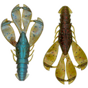  Molting Crawfish