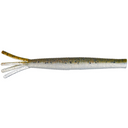  Mud Minnow