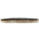  Mud Minnow