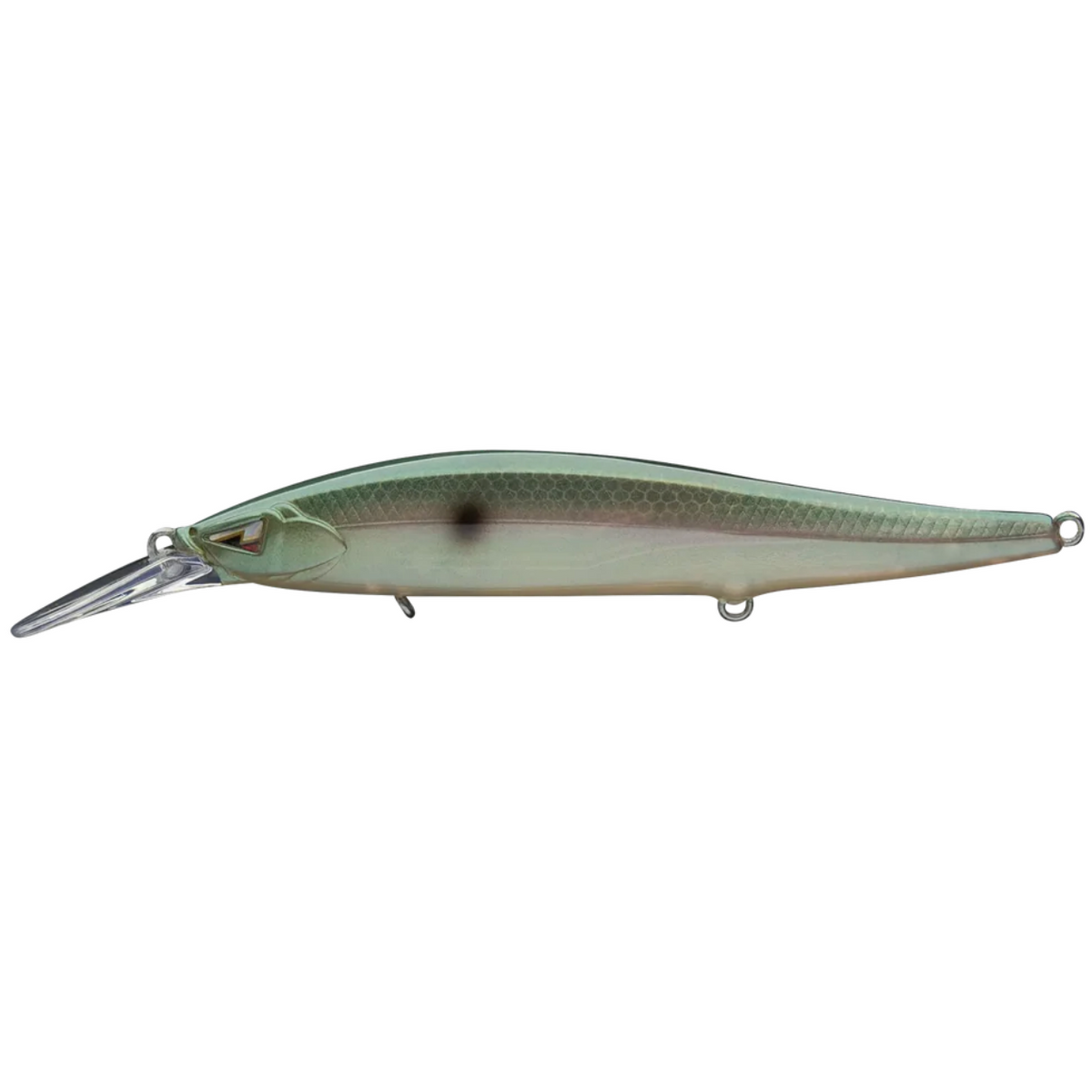 ARK J98SP+ Jerkbait Mystic Gizzard
