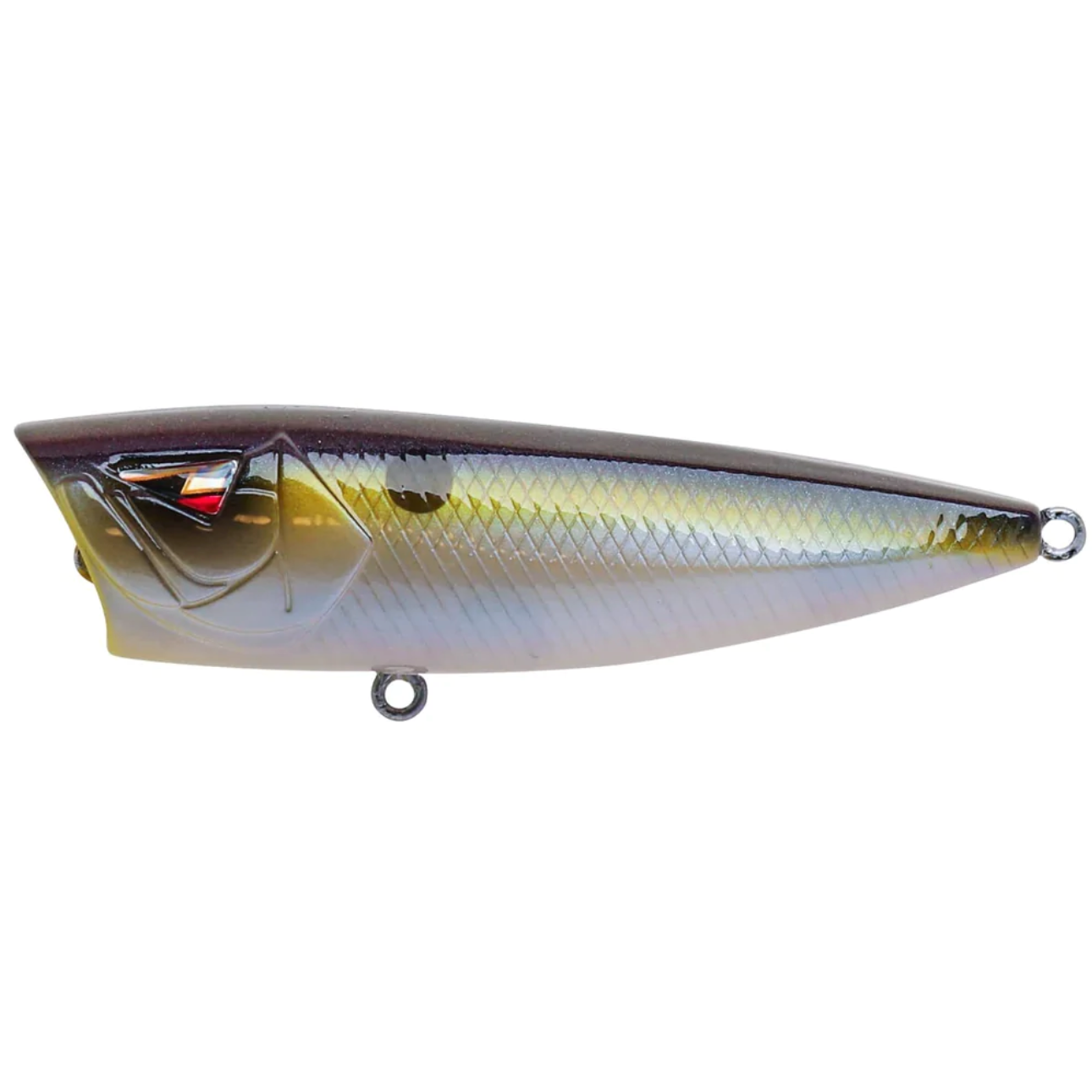 ARK Topwater Popper