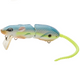  Nasty Shad