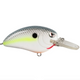  Nasty Shad